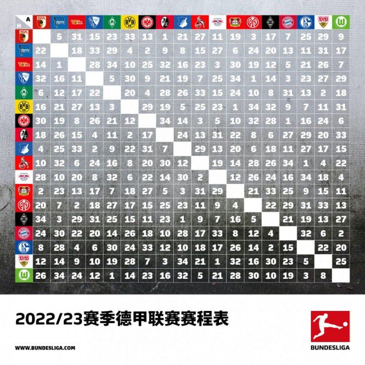 “他们对我们而言很重要，就像我说的，当我们遭到伤病时，他们随时都在那里做好挺身而出的准备。